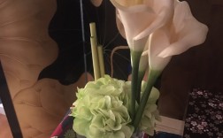 松江区按摩洗脚的地方有哪些呢多少钱